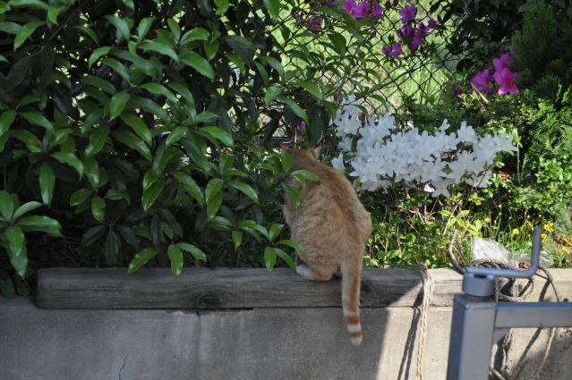 DSC_0298.JPG
