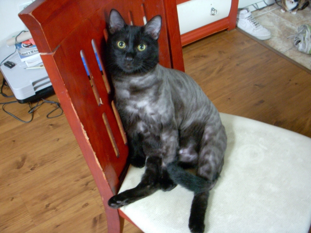 DSCN2217.JPG