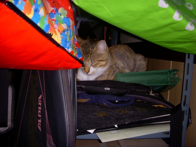 DSCN2221.JPG