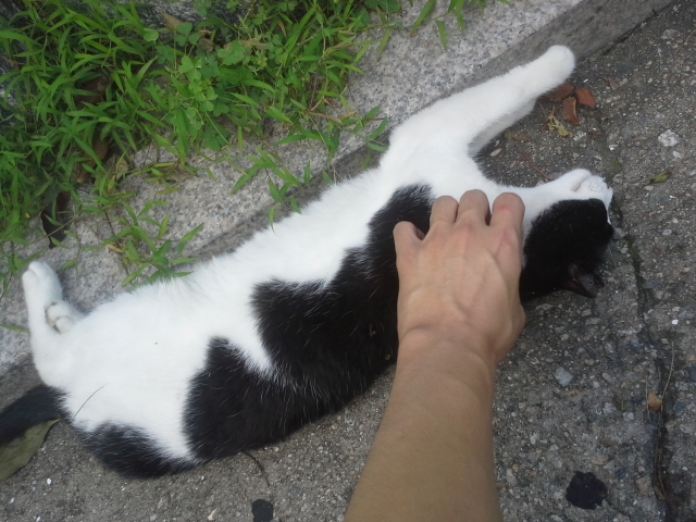 사진 094.jpg