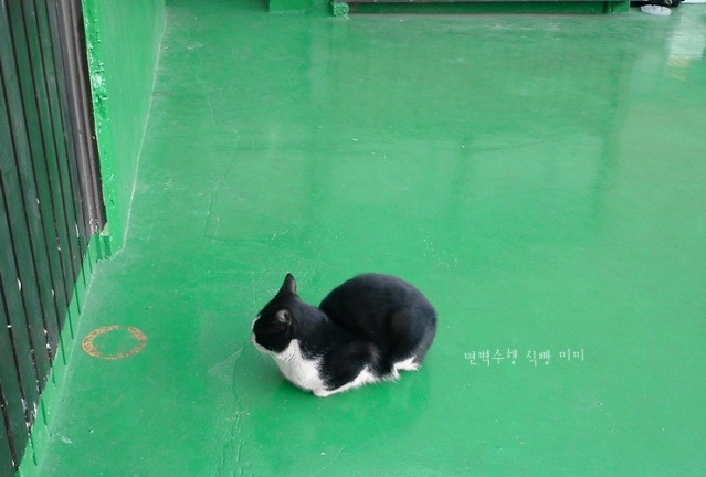1_006.jpg