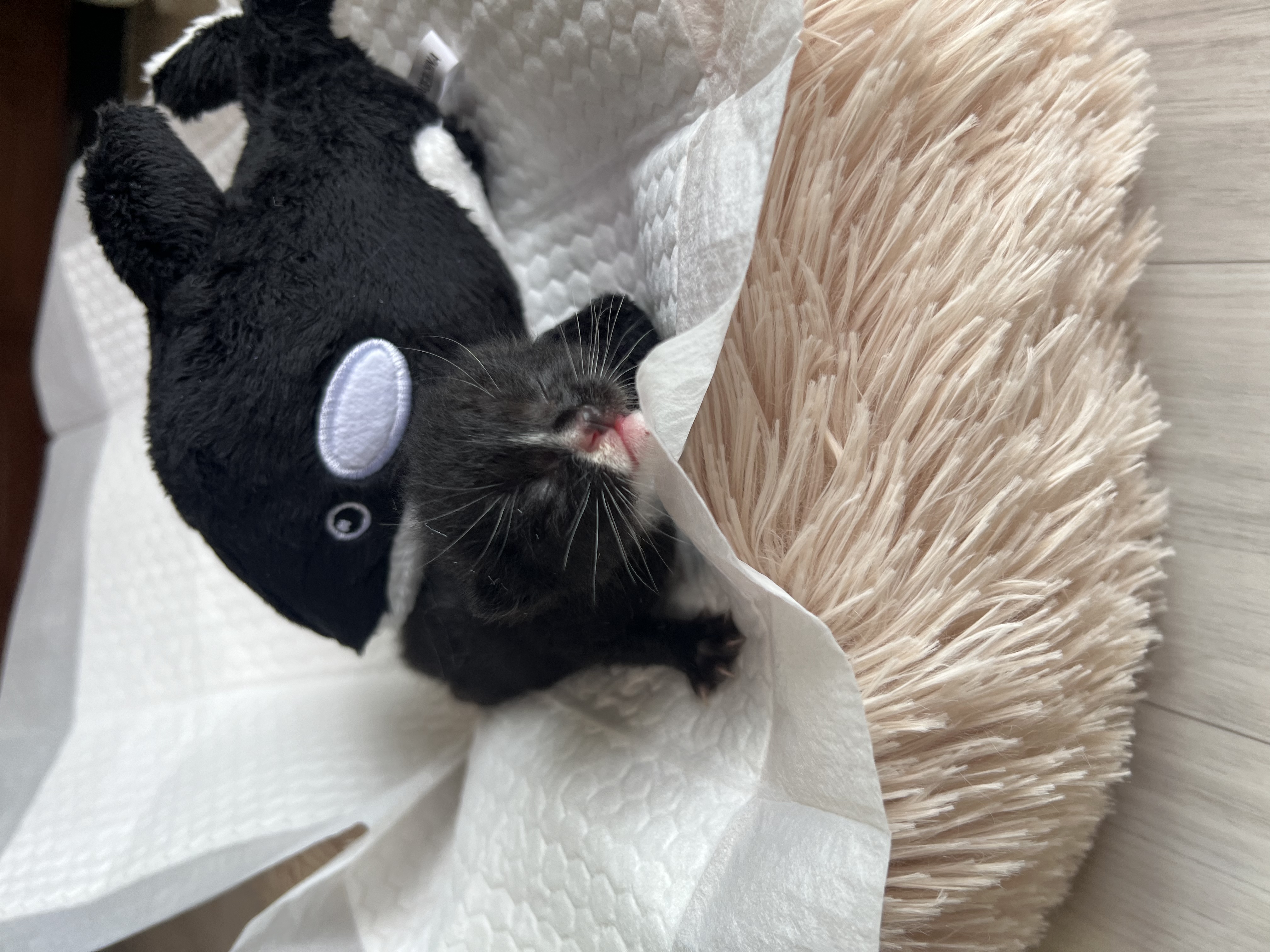 KakaoTalk_20250702_224133210_02.jpg