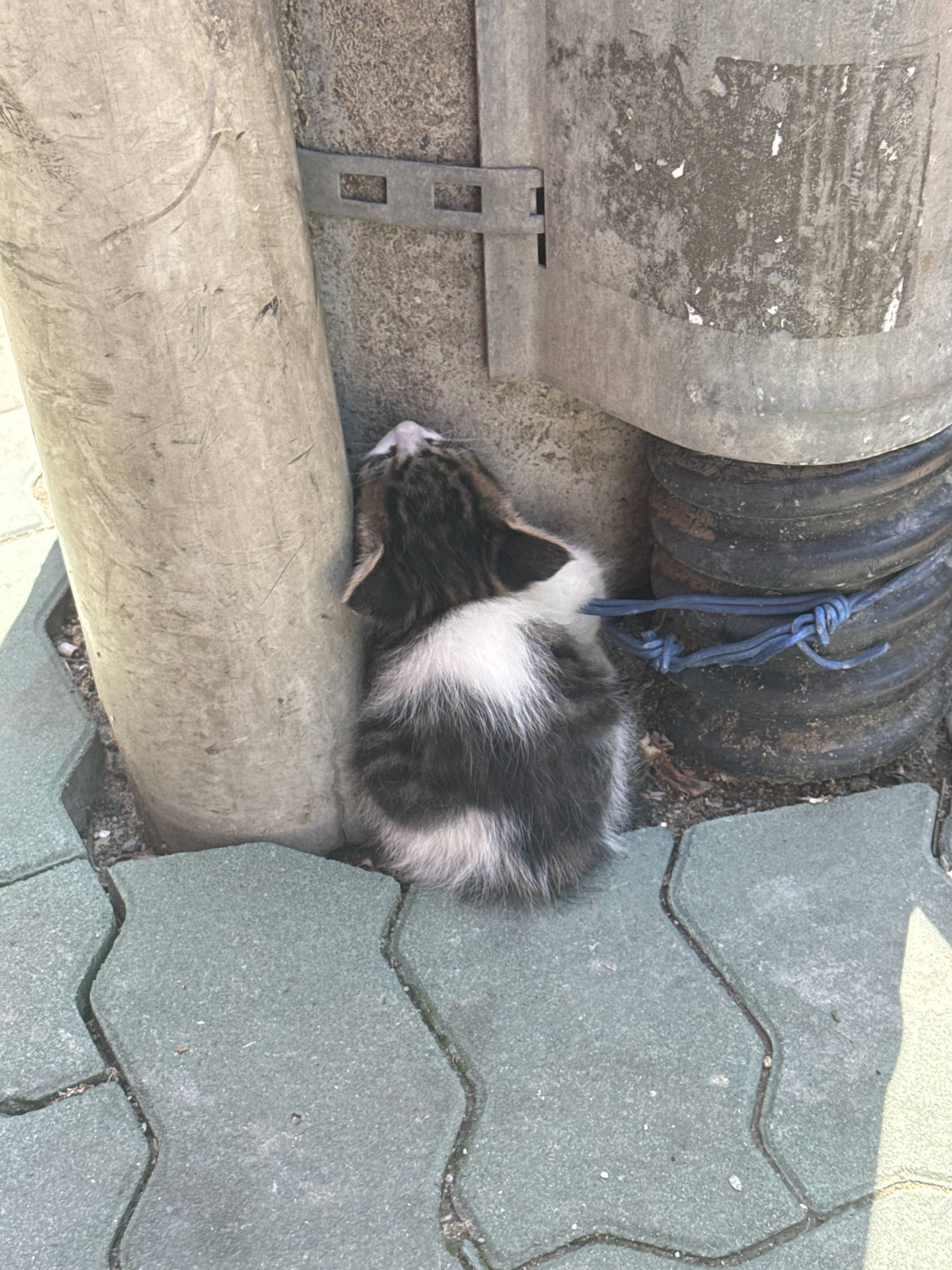 KakaoTalk_20250708_213027497_01.jpg