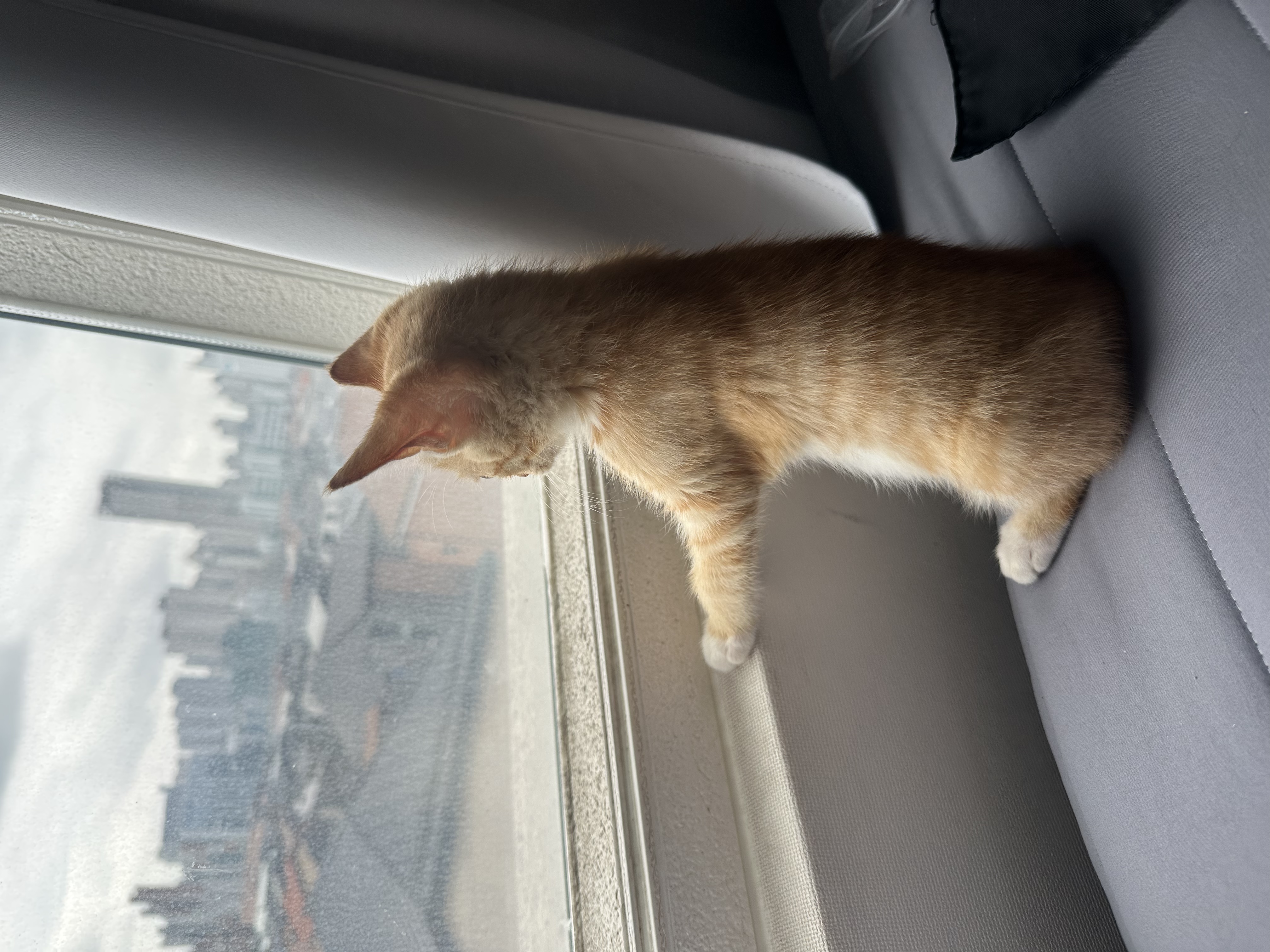 KakaoTalk_20250731_134545390.jpg