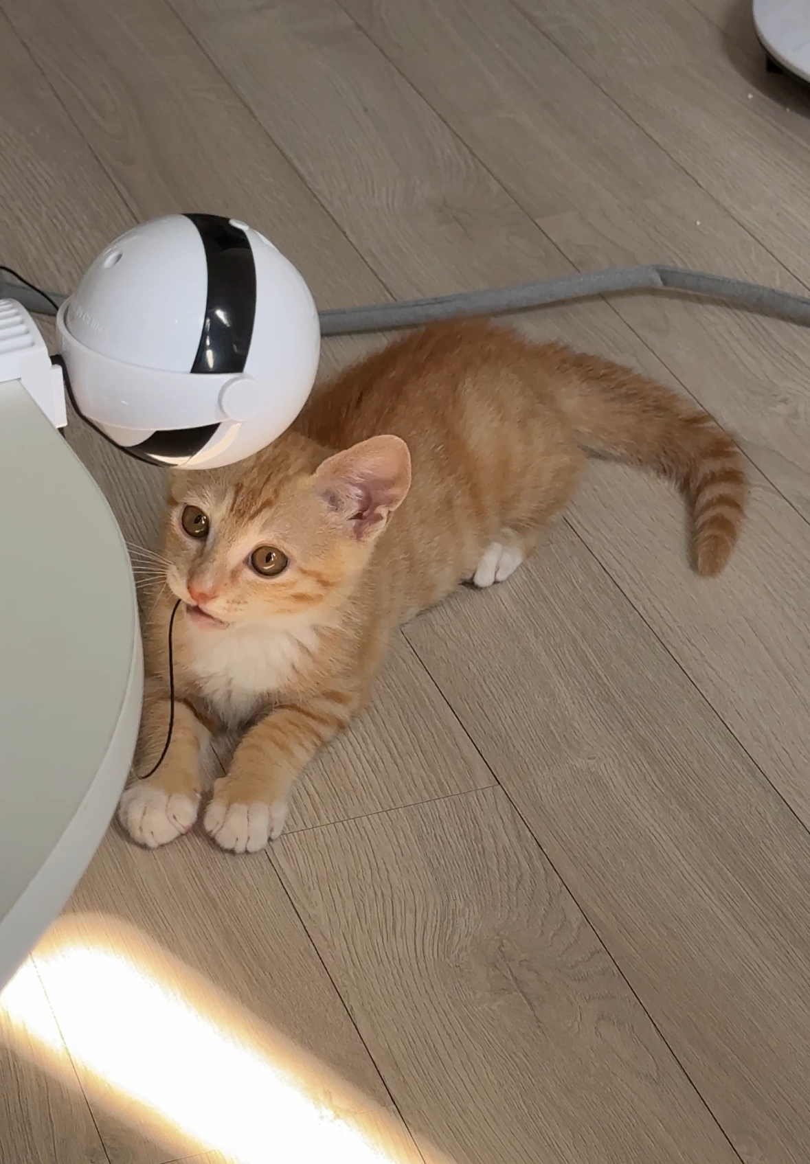 KakaoTalk_20250731_134545390_04.jpg