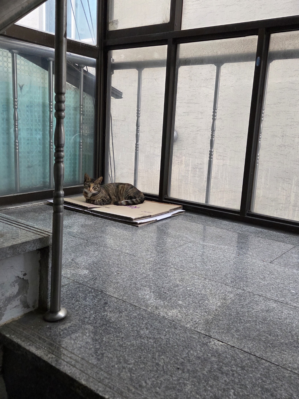 KakaoTalk_20251015_132737107_07.jpg