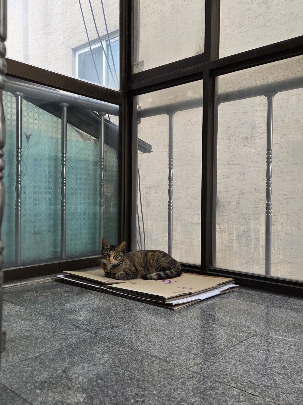 KakaoTalk_20251015_132737107_05.jpg