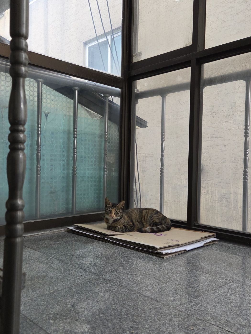 KakaoTalk_20251015_132737107_06.jpg