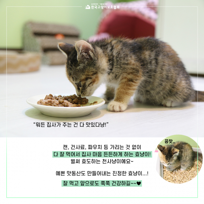 콧물퐁당9.jpg