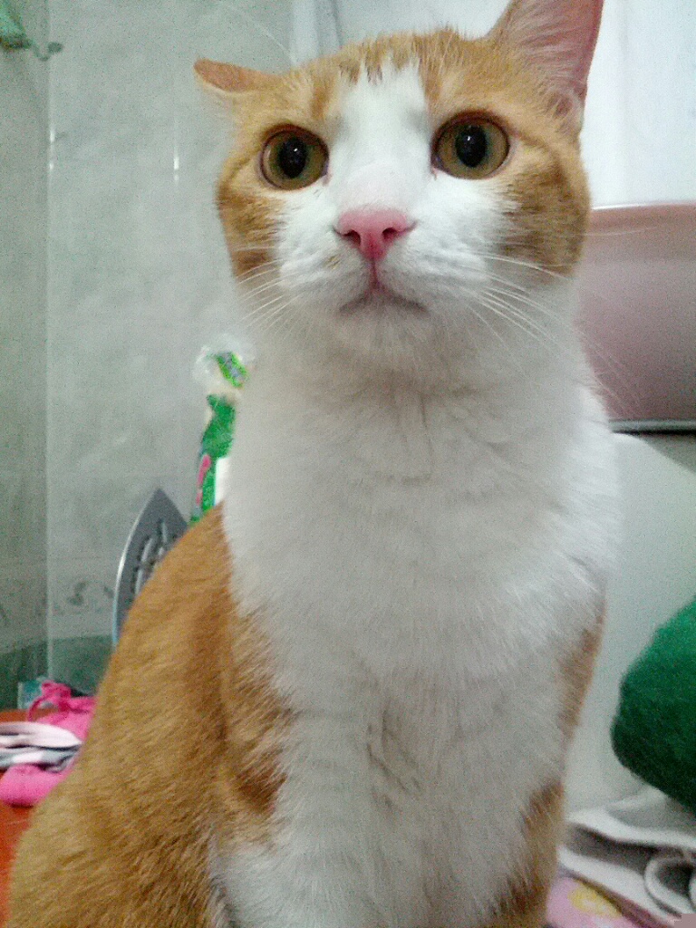 CYMERA_20120710_234242.jpg