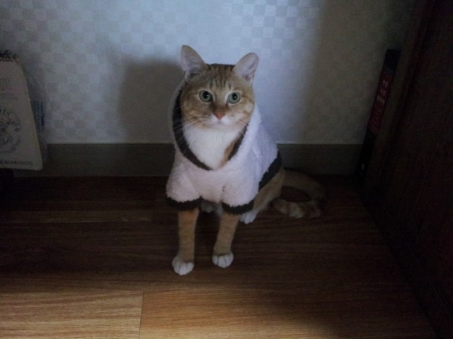 2012-01-04_17_13_10.jpg