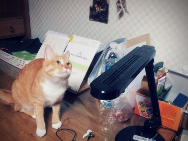 20111118223617.jpg