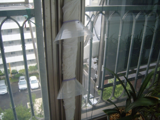 S1032442.JPG