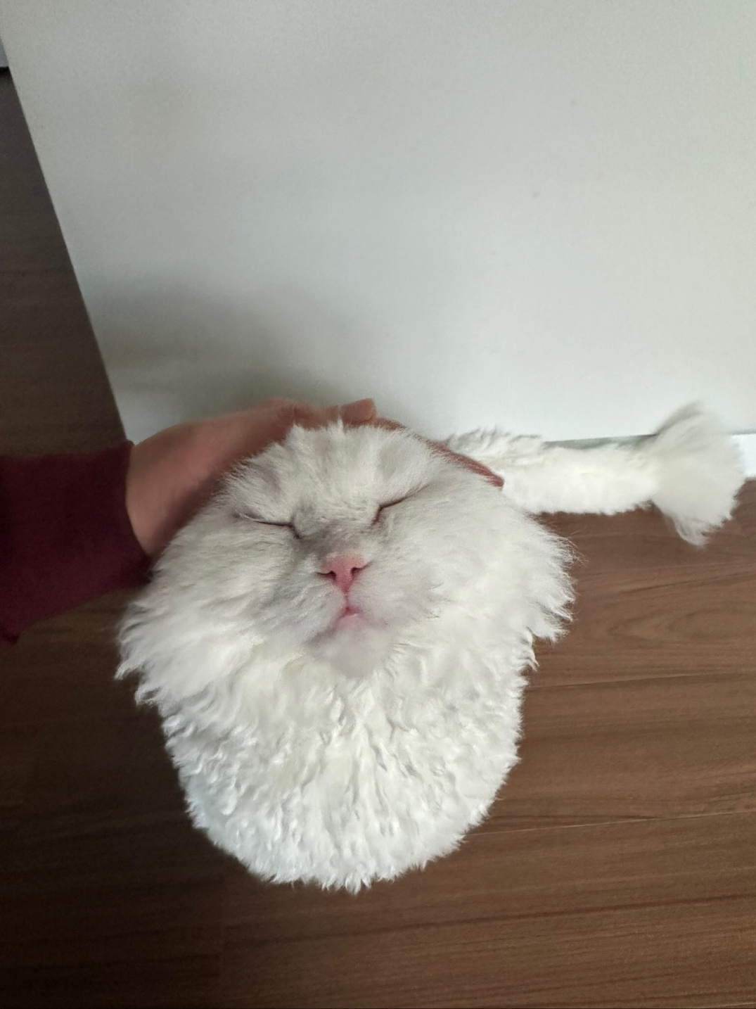 새참 (9).jpg