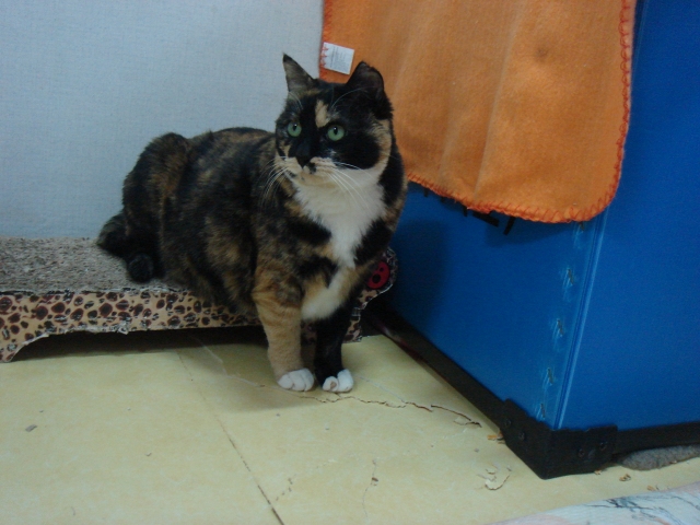 DSC04205.JPG