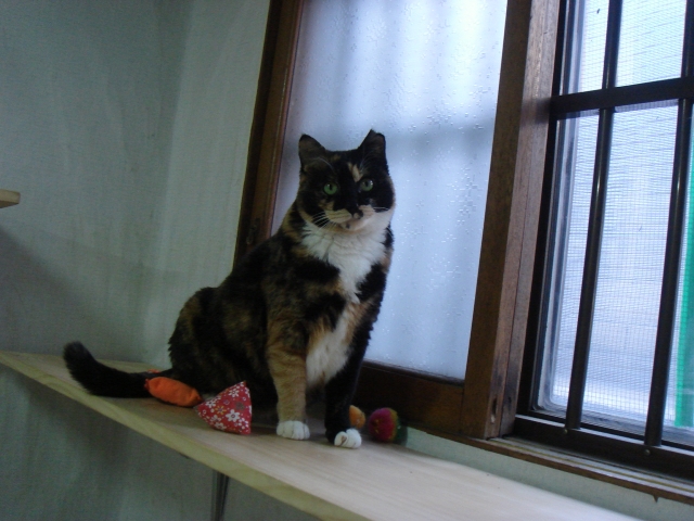 DSC04236.JPG