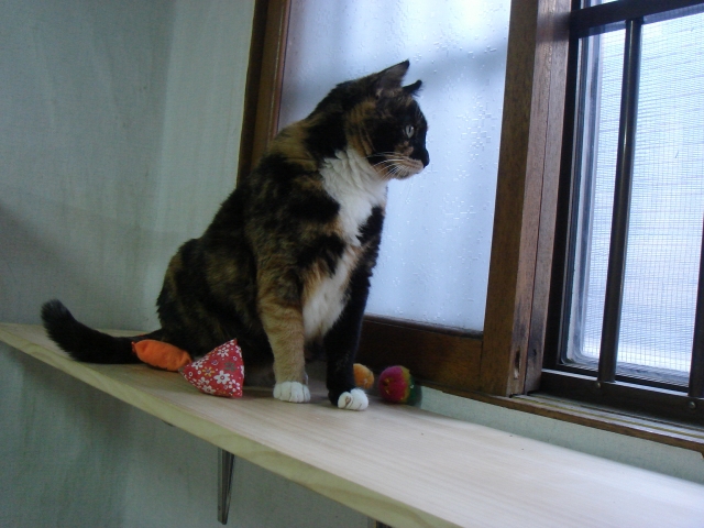 DSC04234.JPG