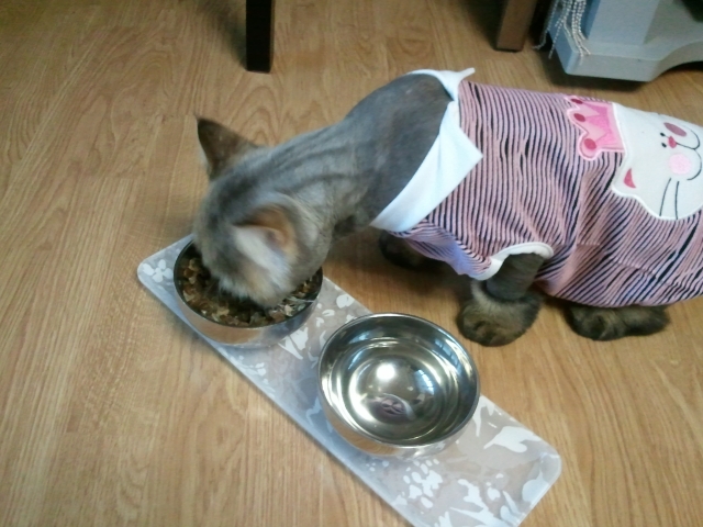 2011-12-10 16.58.29.jpg