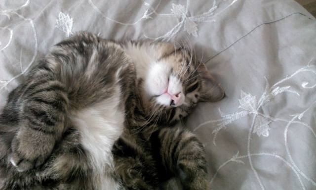 2011-10-18 11.51.24.jpg