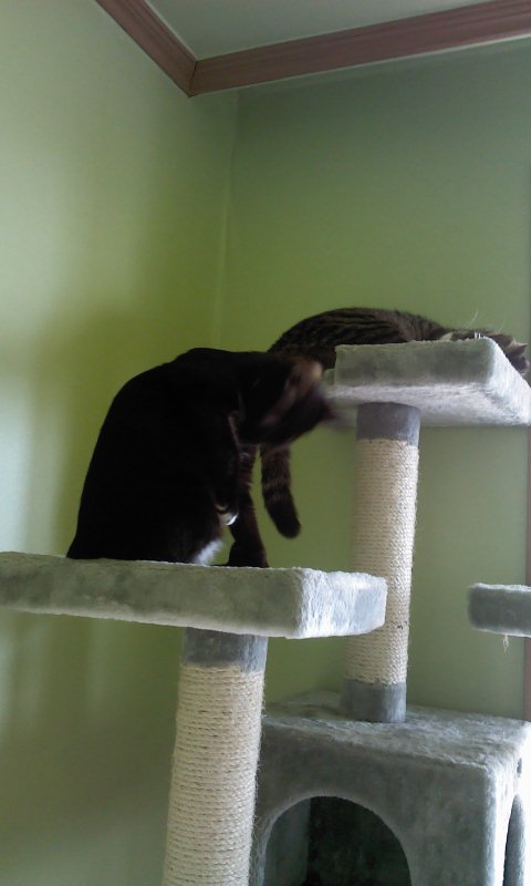 2012-01-16 14.25.24.jpg