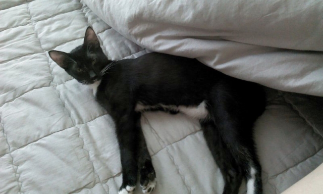 2011-10-18 11.54.06.jpg