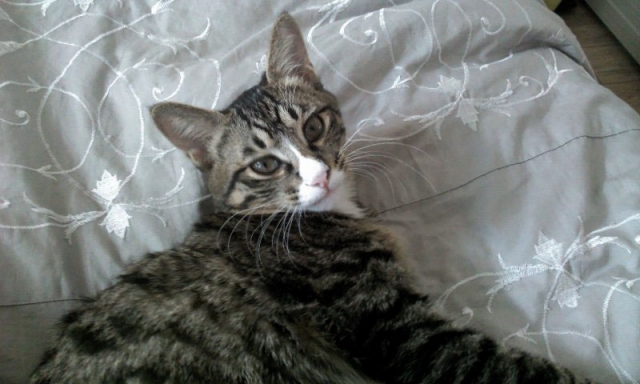 2011-10-18 11.50.35.jpg