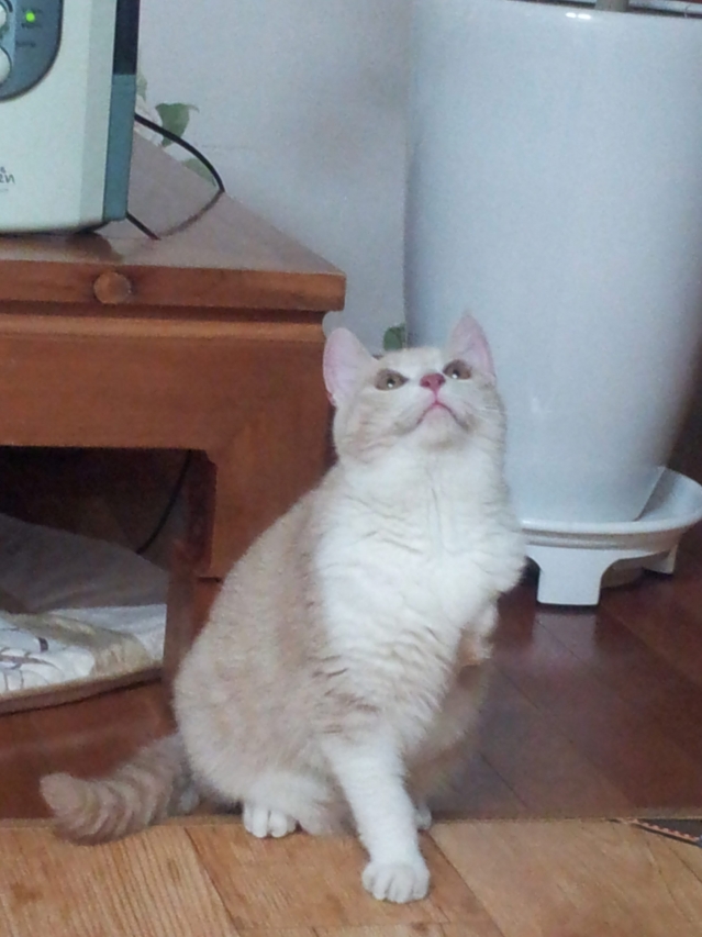 해리6.jpg