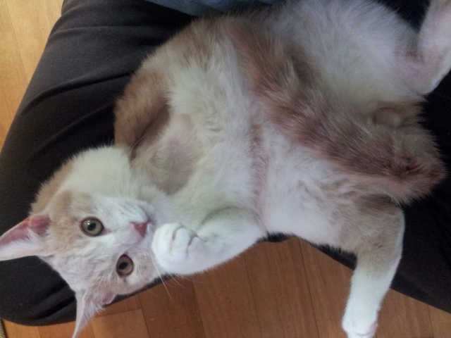 해리9.jpg