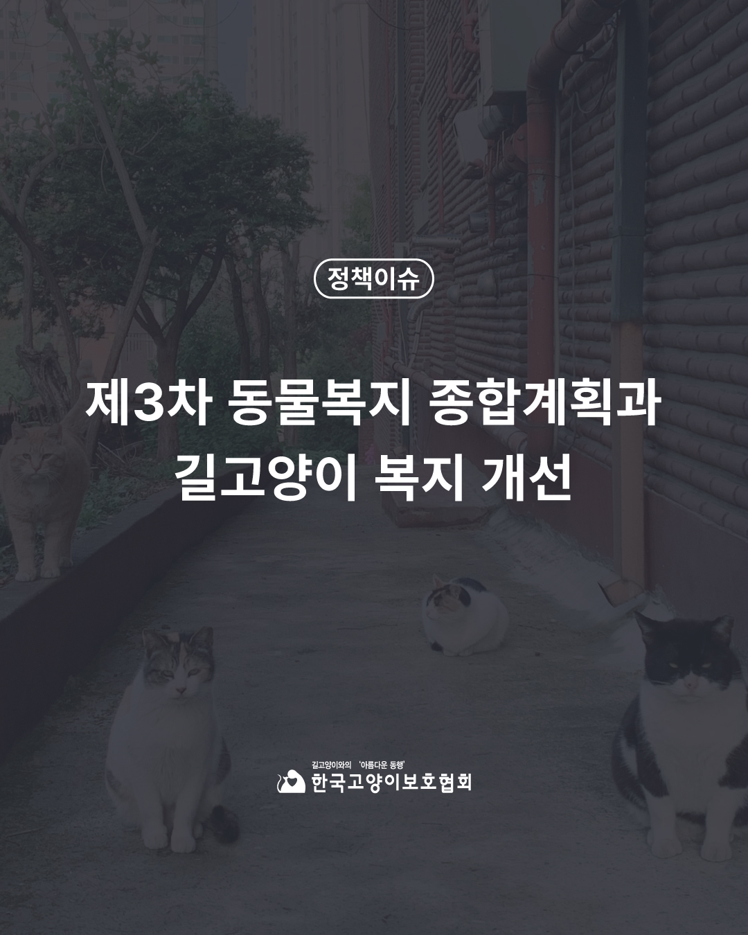 제3차계획1.jpg
