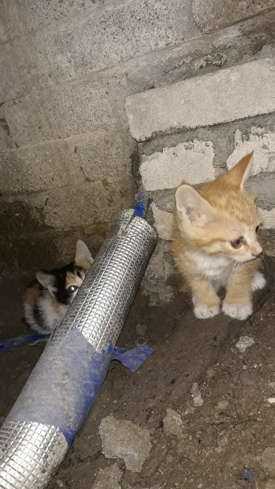 KakaoTalk_20190611_175458267.jpg