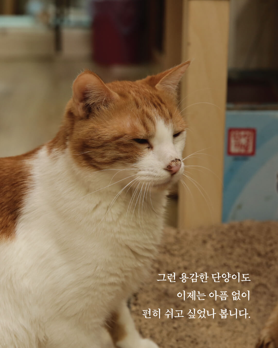 단양7.jpg