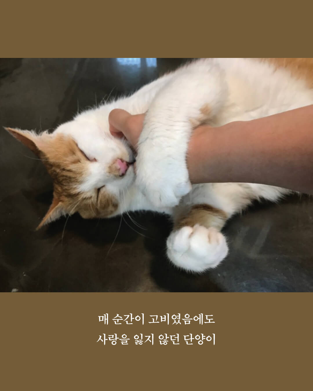 단양4.jpg