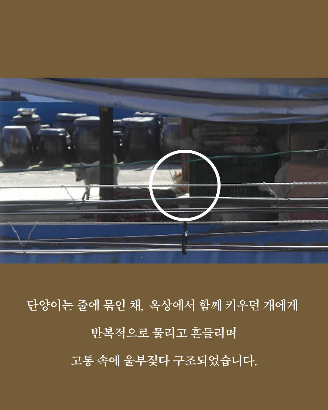 단양2.jpg