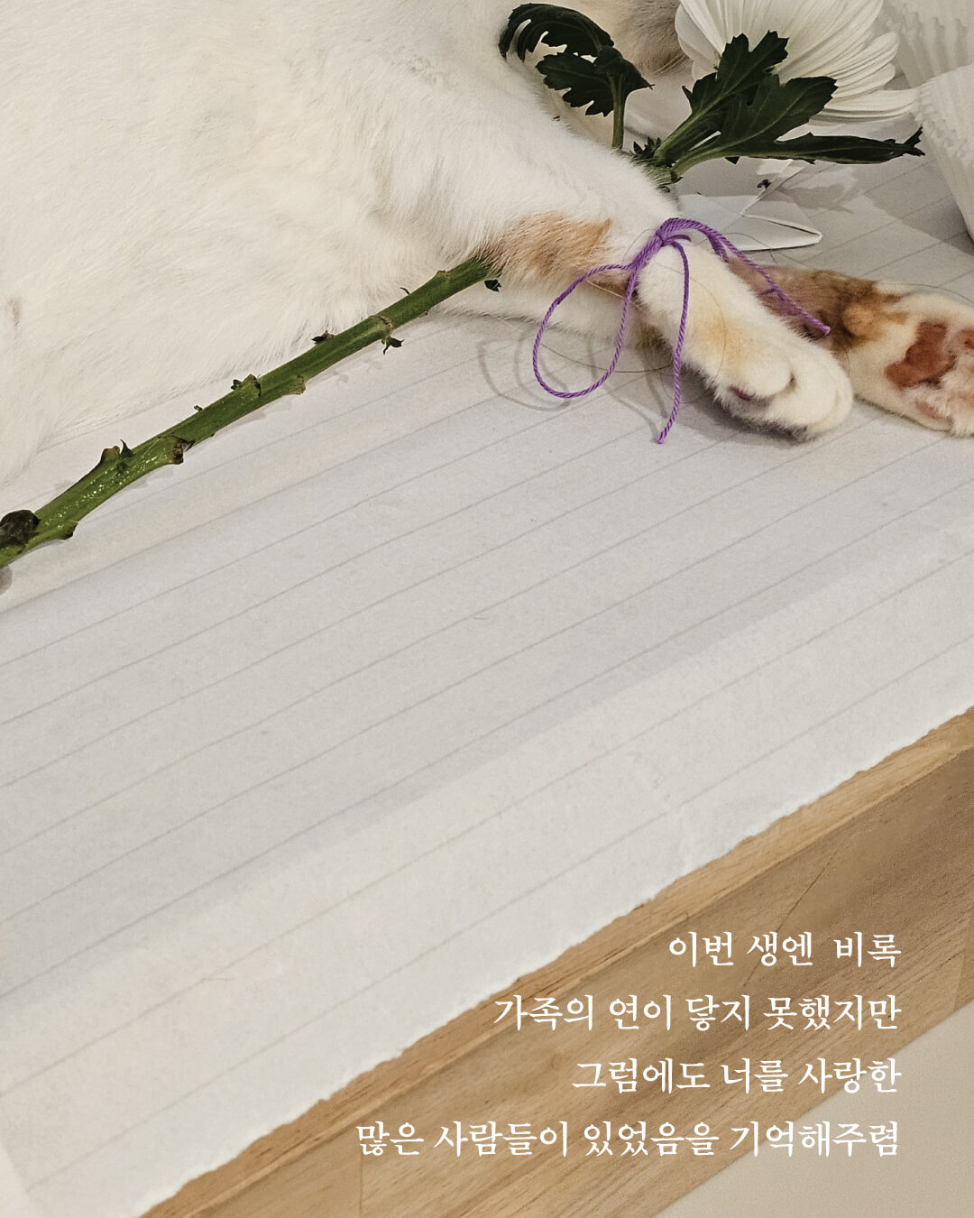단양11.jpg