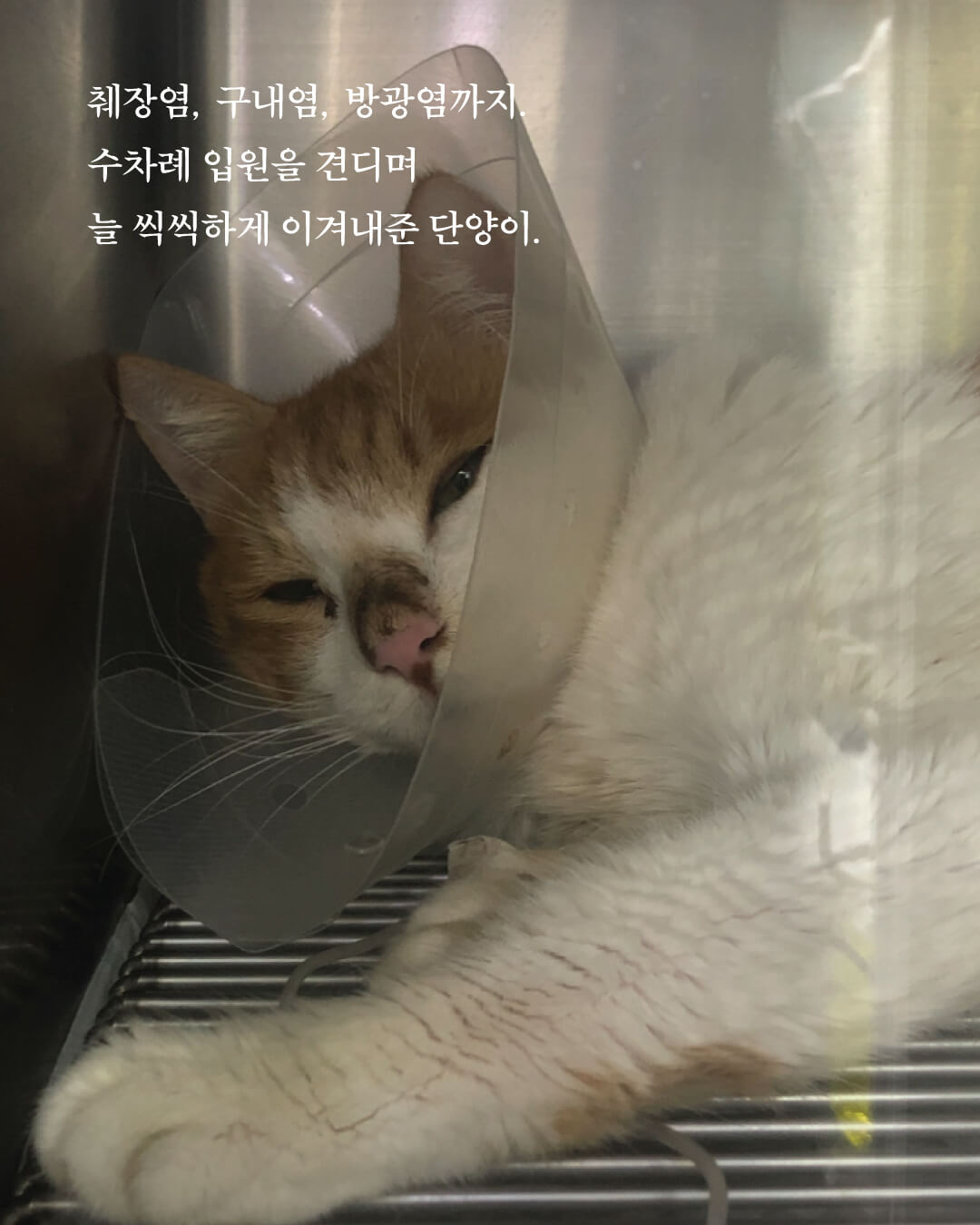 단양6.jpg