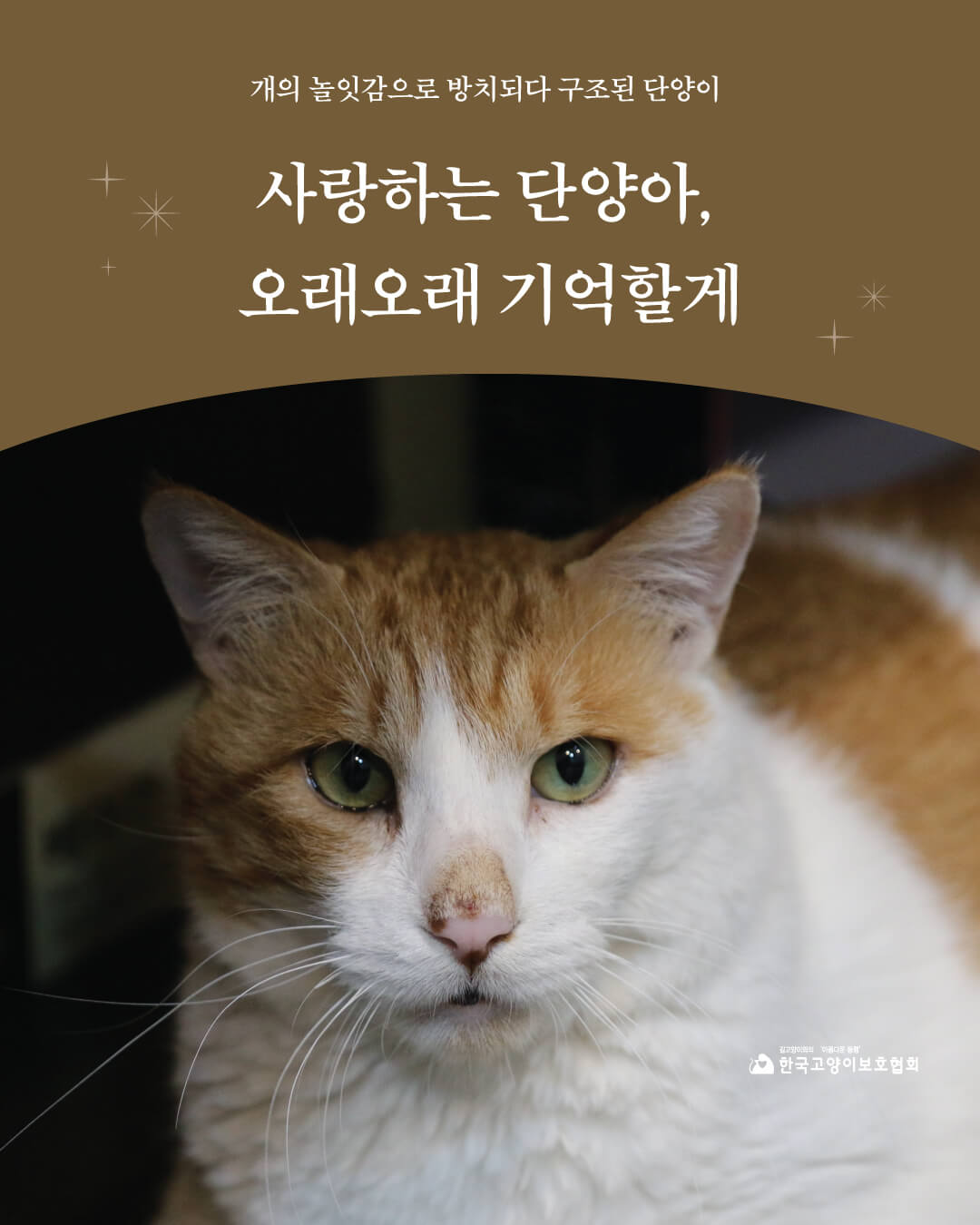 단양1.jpg