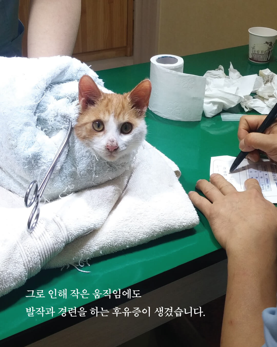 단양3.jpg