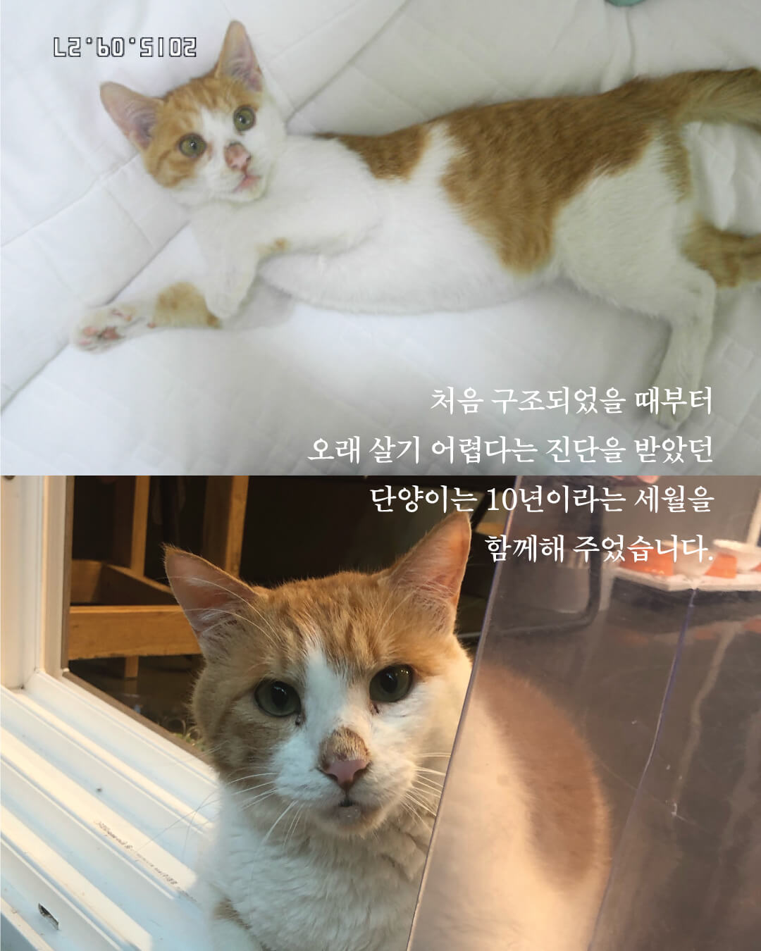 단양8.jpg