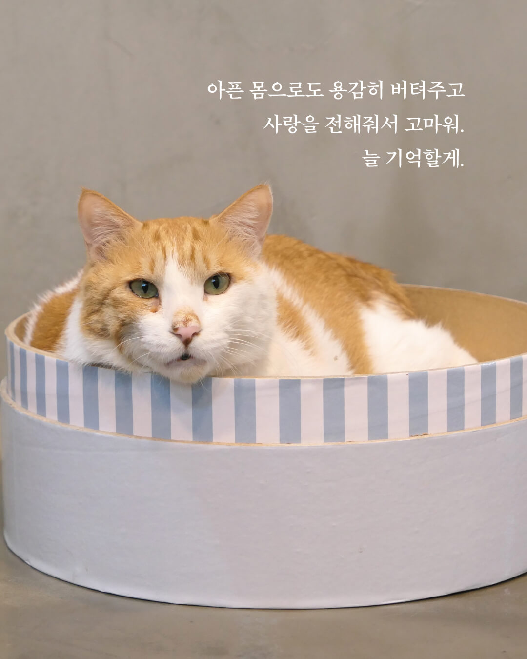 단양12.jpg