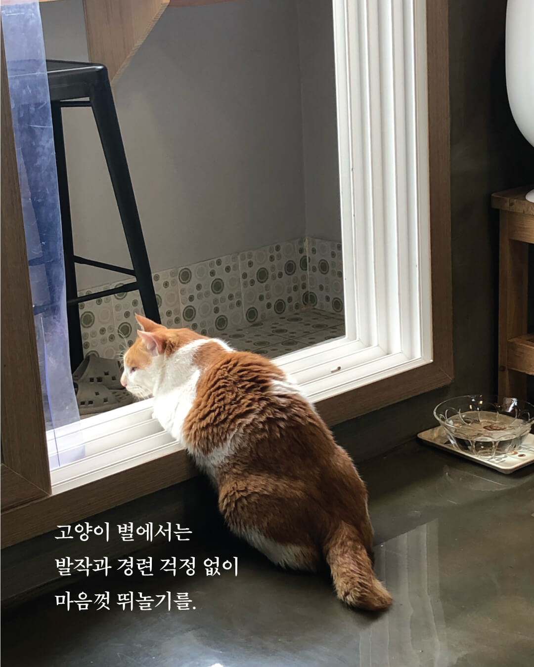 단양9.jpg