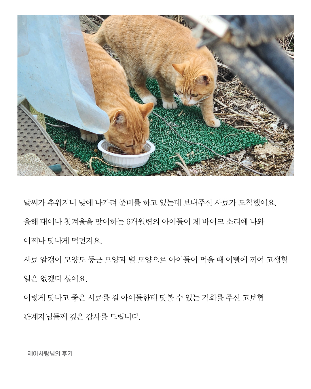 든든후기8.jpg