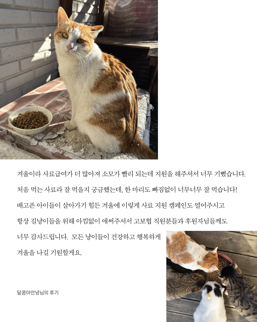 든든후기3.jpg