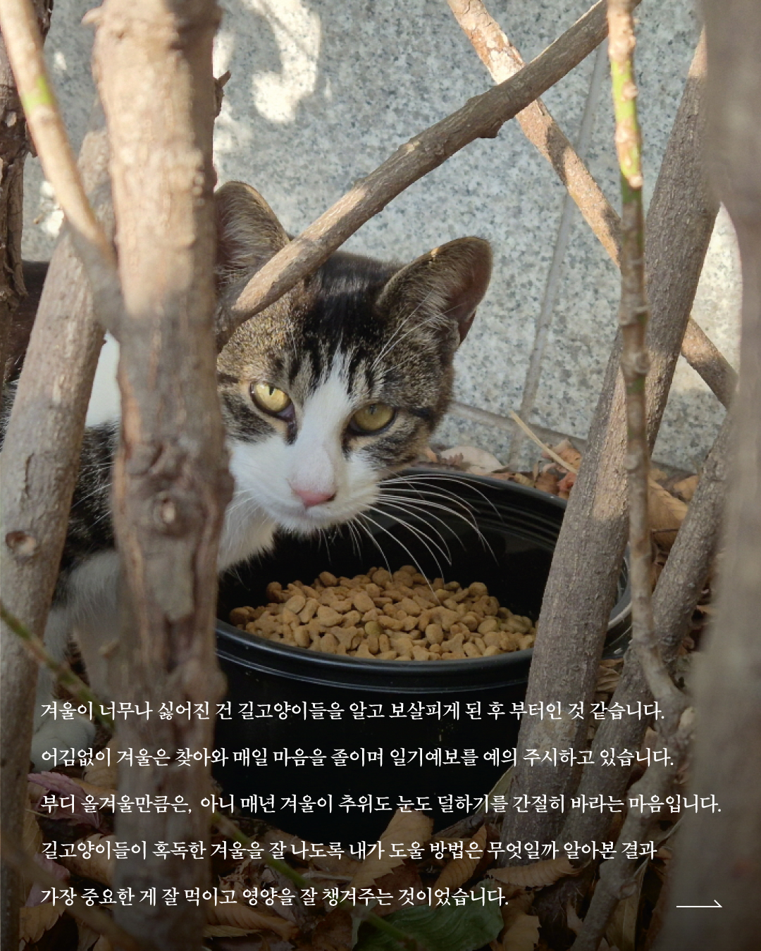 든든후기4.jpg