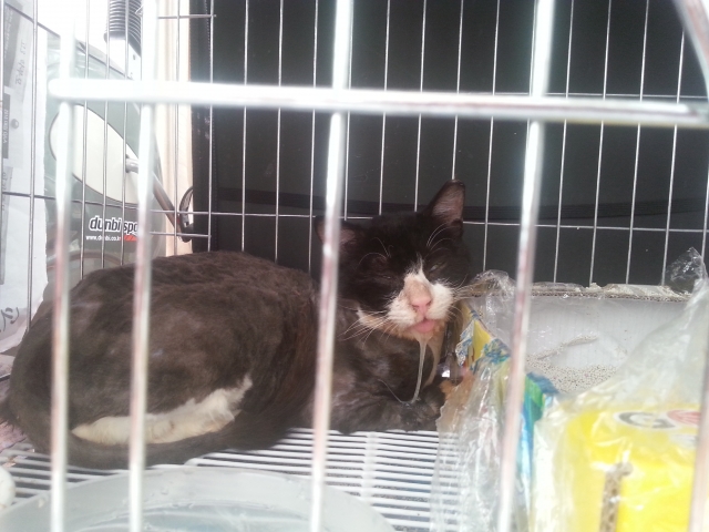 20140701_073959.jpg