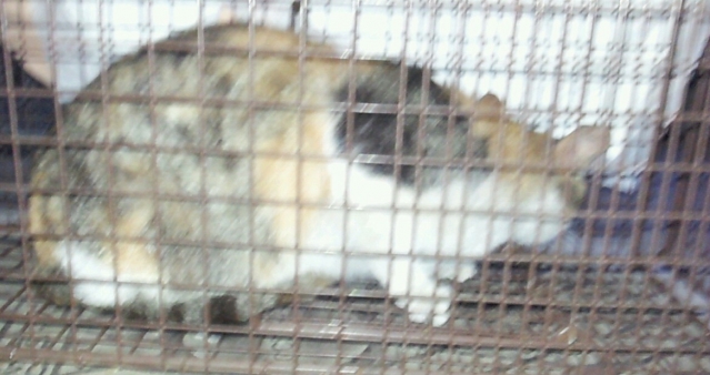 20150602125059636.jpg