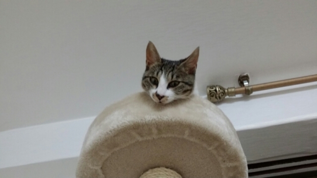 20150421_214920.jpg