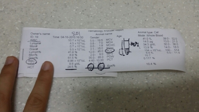 20150416_170703.jpg