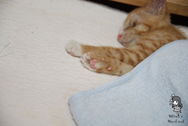 DSC_5654.JPG