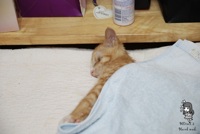 DSC_5657.JPG