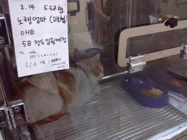 2012-02-15 21.39.56.jpg